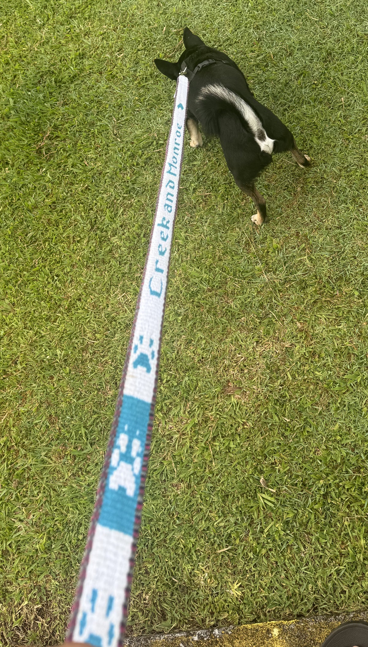 Hand woven dog leashes