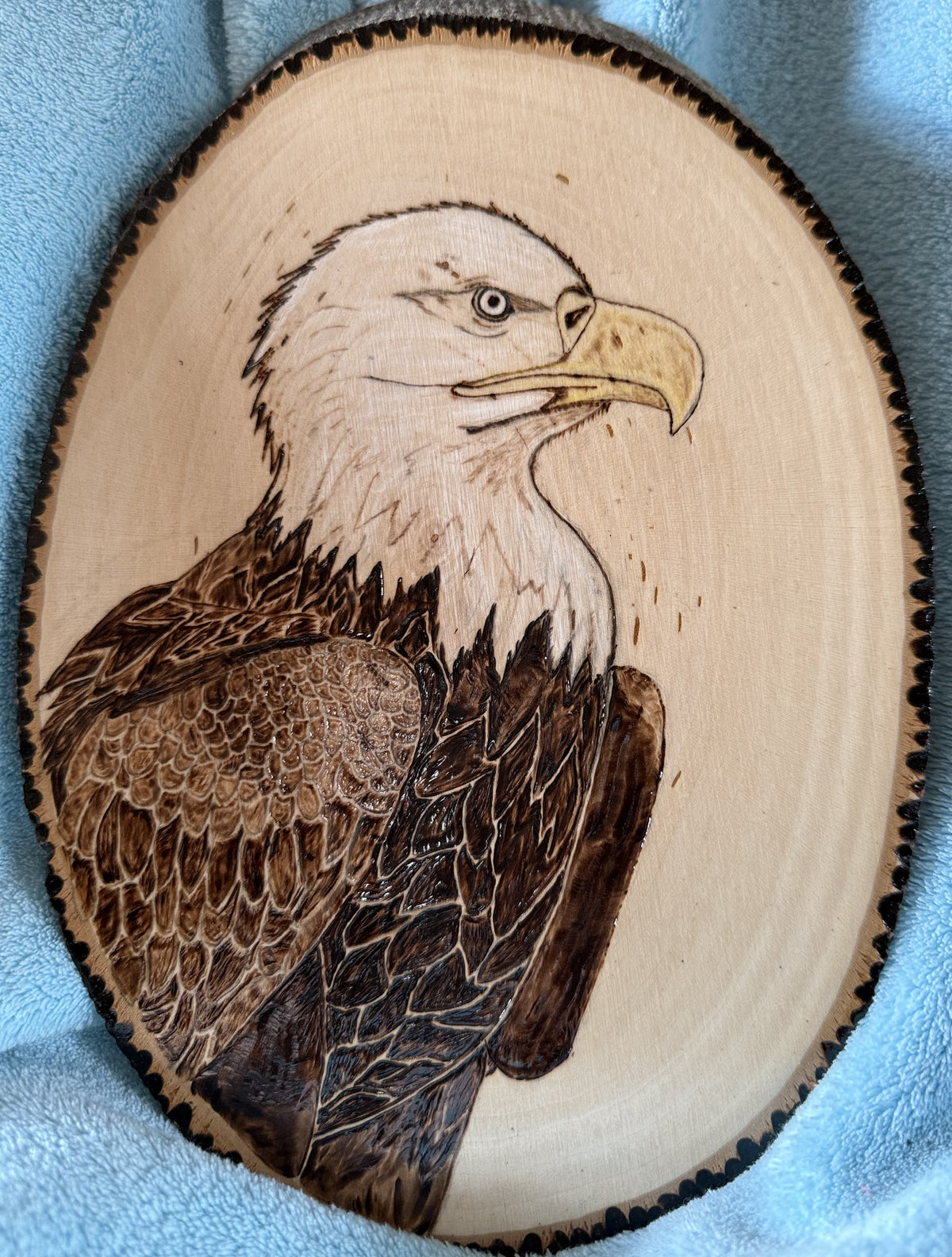 Wood-burned pictures