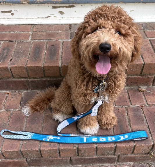 Hand woven dog leashes